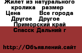 Жилет из натурального кролика,44размер › Цена ­ 500 - Все города Другое » Другое   . Приморский край,Спасск-Дальний г.